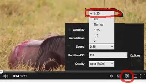 Controlar la velocidad del vídeo en Youtube