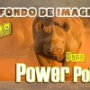 Crear fondos de imagen para presentaciones de Power Point
