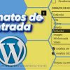 Formato de entrada de Wordpress
